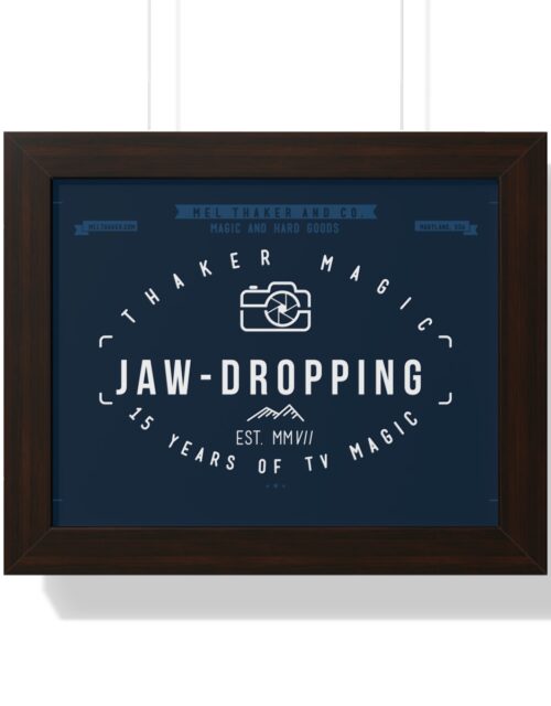 15 Years of Magic Framed Horizontal Poster